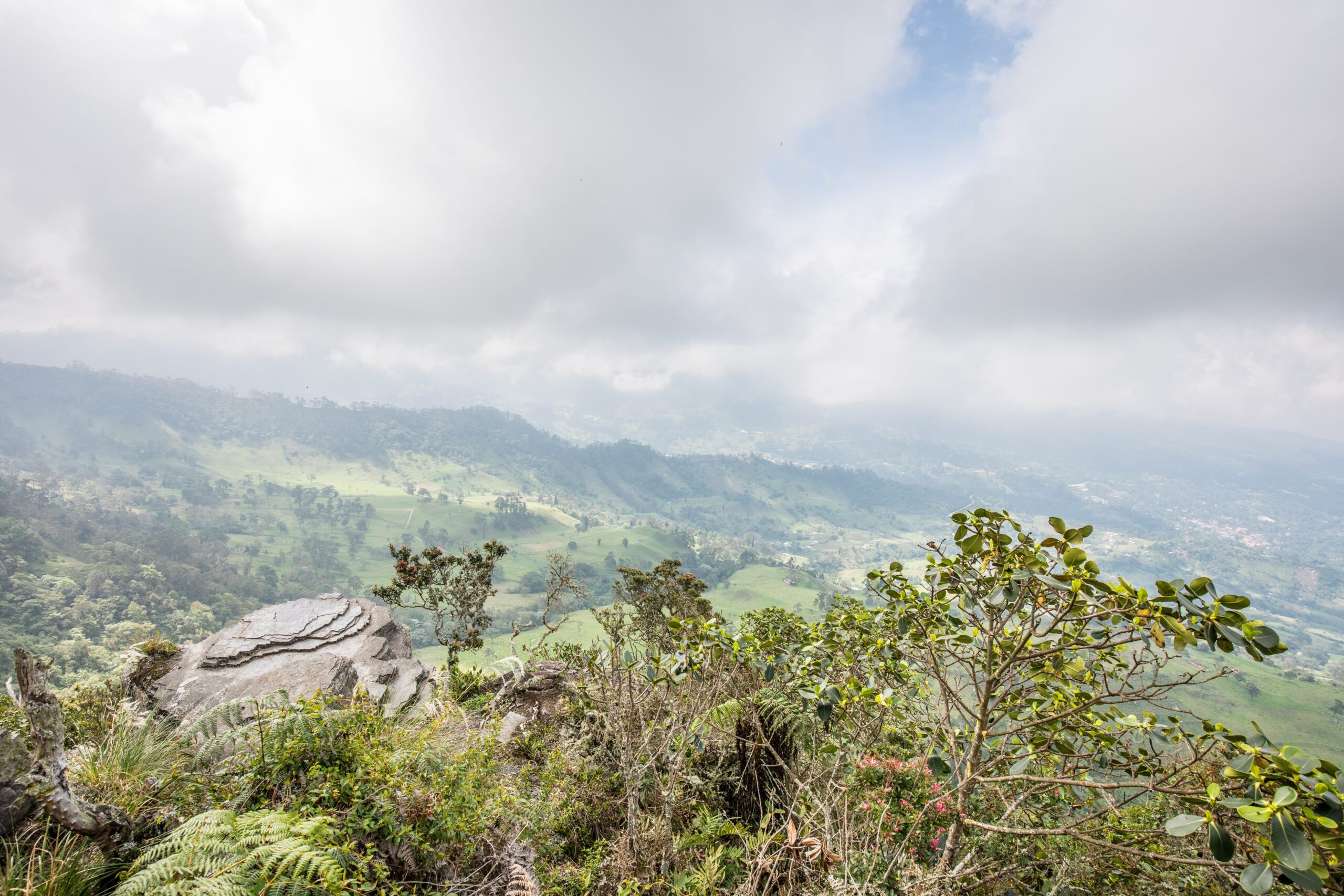 Expansive view of a lush, green landscape with hills, trees, and a partially cloudy sky, seen from a high vantage point among rocks and vegetation. One of the must-see sights during Bogotá city tours, offering a perfect escape amidst nature's beauty.
