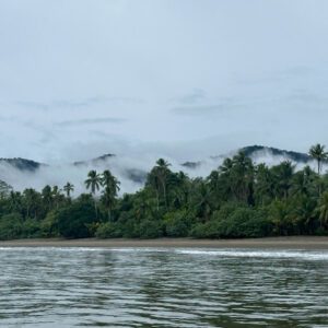 Colombia Pacific Coast landscapes Zebra Fisgona Tours