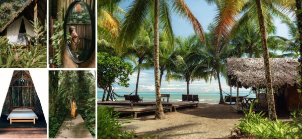 Colombia Pacific Coast_ Eco Lodge Madre Agua Zebra Fisgona Tours