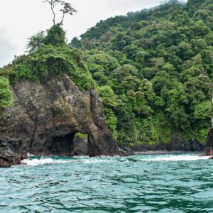 Colombia Pacific Coast 2 Zebra Fisgona Tours