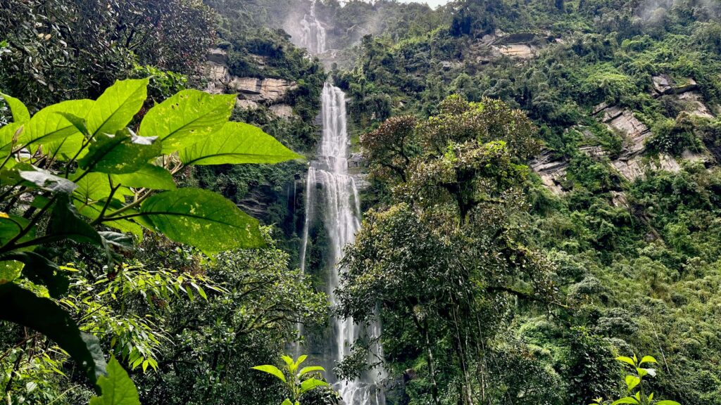 A tall waterfall cascades down a lush, green forested cliff near Bogota, with foreground leaves in focus, making it an ideal spot for day trips filled with natural beauty and cultural wonders.