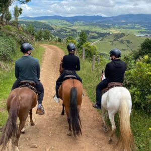 breathtaking landscape during horseback ride at the andes from bogota