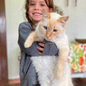 kitty love, little girl holding a cat