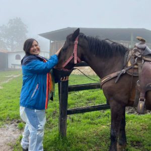 feeding the horse after the ride