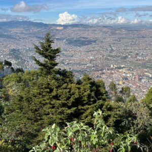 Aerial view of Bogotá, surrounded by mountains, with dense vegetation in the foreground under a partly cloudy sky—a perfect vista to start your day tour.