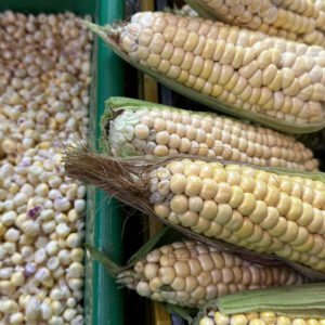 Big corn cobs inside of the market in Bogota