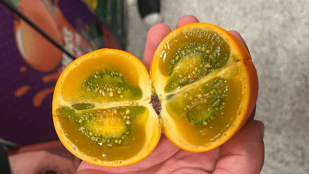 A hand cradles a halved fruit with an orange rind and a green, seed-filled interior, evoking the magic of a stroll through Bogotá's vibrant Paloquemao Fruit Market.