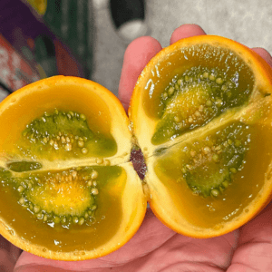 A hand cradles a halved fruit with an orange rind and a green, seed-filled interior, evoking the magic of a stroll through Bogotá's vibrant Paloquemao Fruit Market.