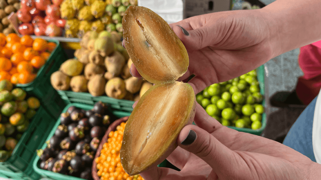 Hands holding a sliced sapodilla fruit in front of a vibrant array at the Paloquemao Fruit Market. The scene captures the magic of Bogota, where diverse fruits create a colorful tapestry that delights the senses.