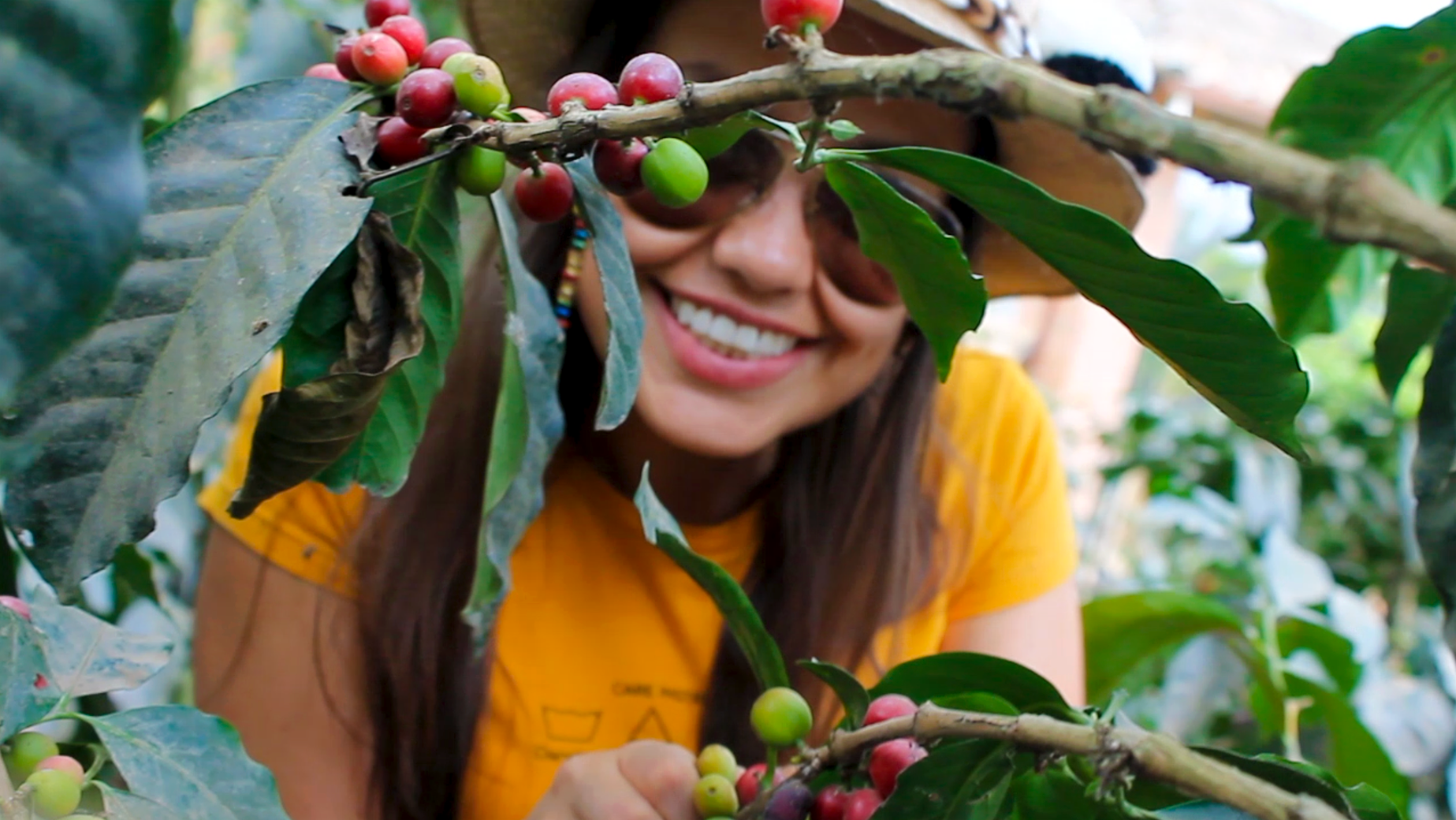 A person wearing sunglasses and a hat smiles while peeking through the branches of a coffee plant with red and green berries, showcasing one of the delightful things to do in Bogotá.