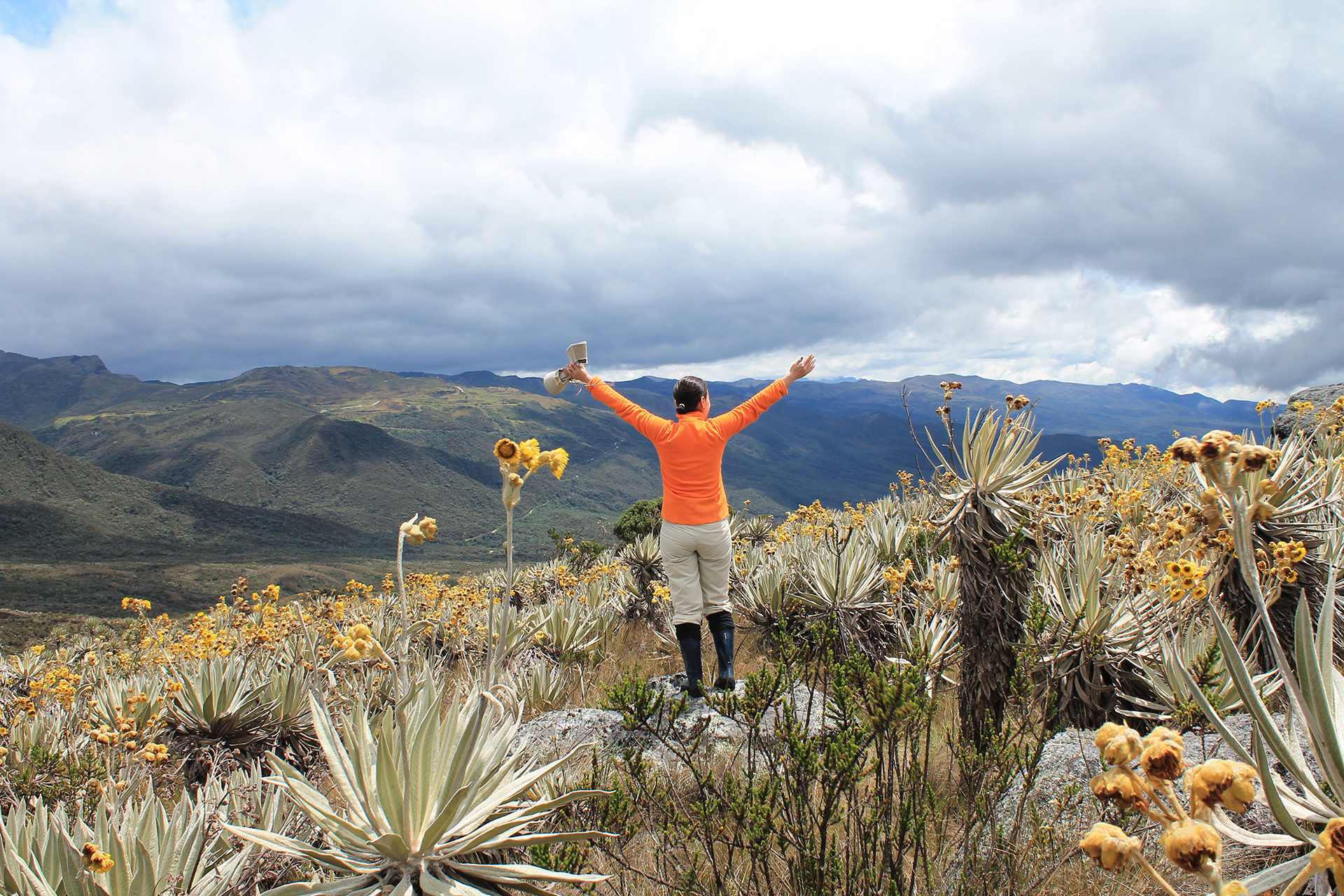A person in an orange shirt and black boots raises their arms while standing in a rugged, mountainous landscape with cloudy skies and yellow flowers—reminiscent of the stunning vistas seen on Bogotá city tours.