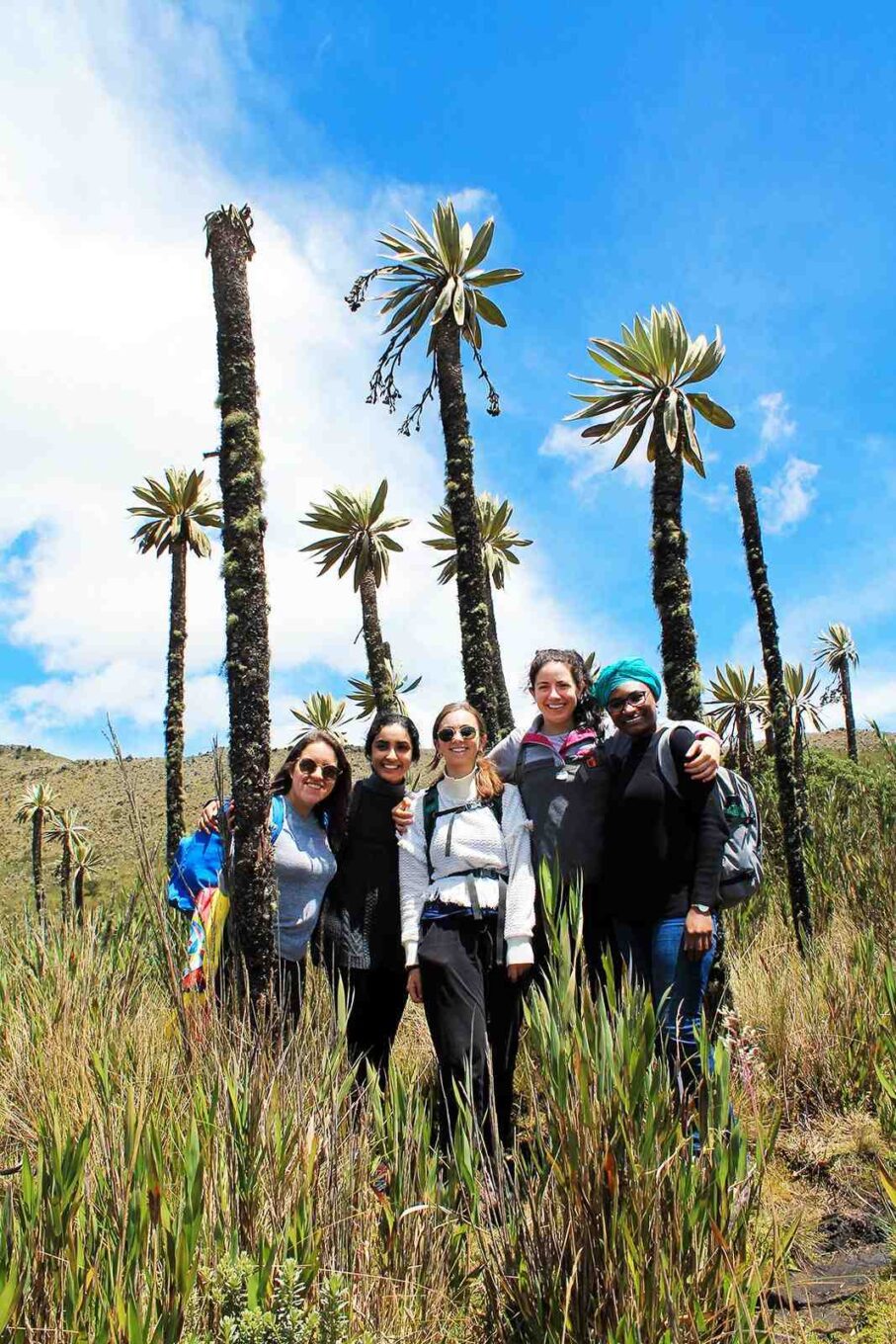 travelers smiling zebra fisgona corporate tours bogota